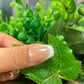 Handmade nails F365